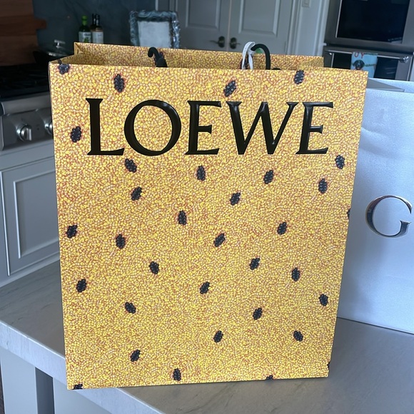 Luxury shopping bags… Dior, Gucci, Bottega, Loewe - Picture 5 of 8